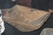Συλλογή ΜΝΕΠ (Α.Μ. 11636)